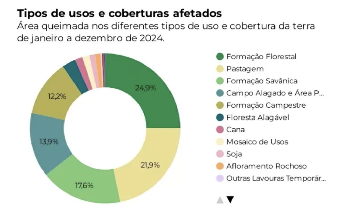 mapbiomas-fogo-em-2024-destrui