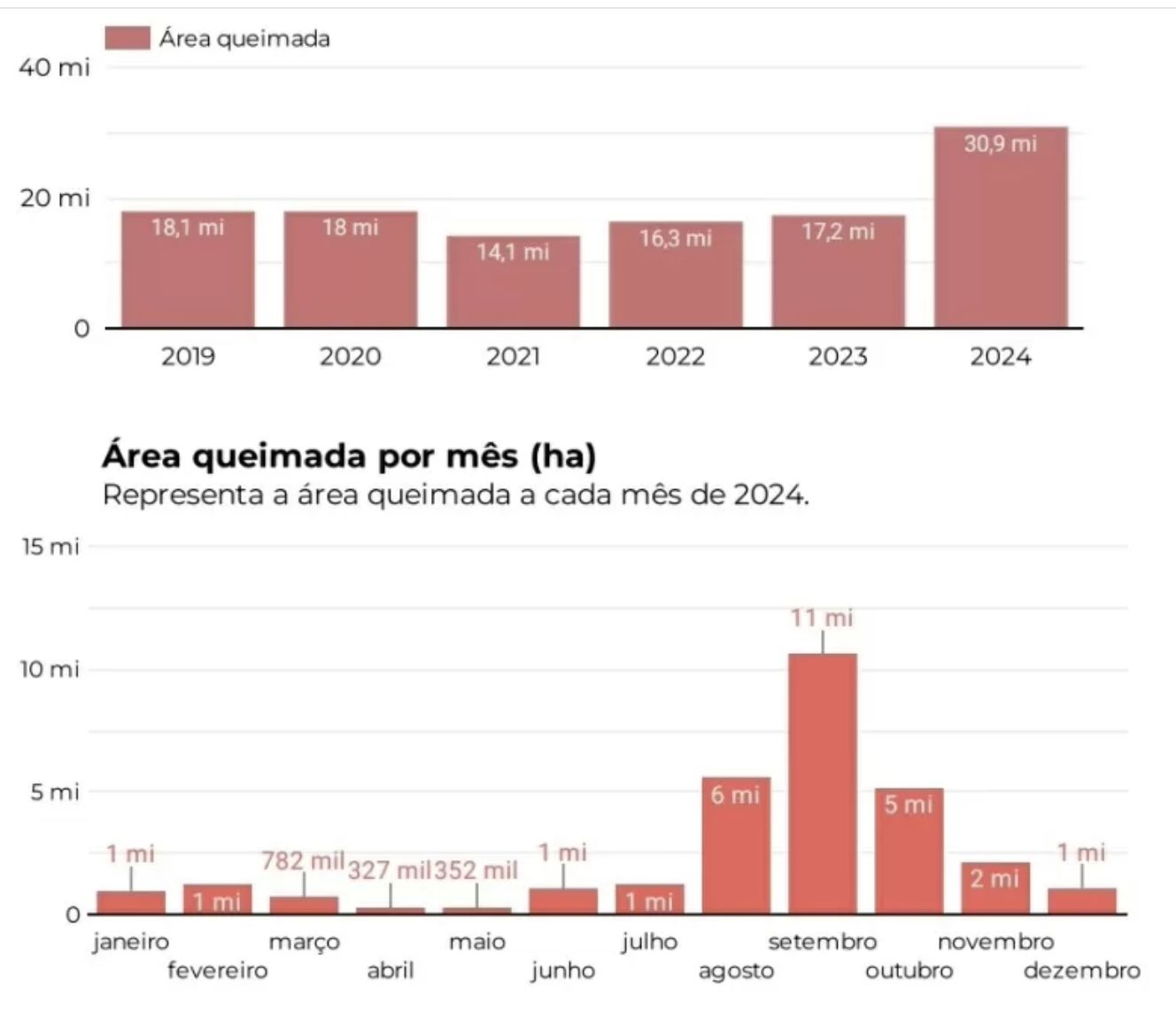 mapbiomas-fogo-em-2024-destrui