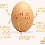 governo-prorroga-prazo-para-ov