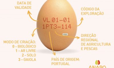 governo-prorroga-prazo-para-ov