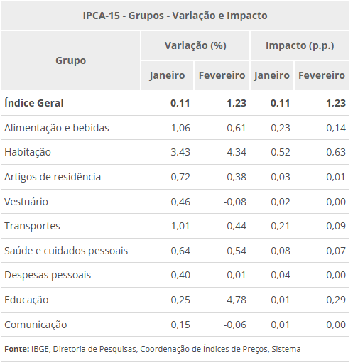 ipca-15-sobe-123-em-fevereiro-