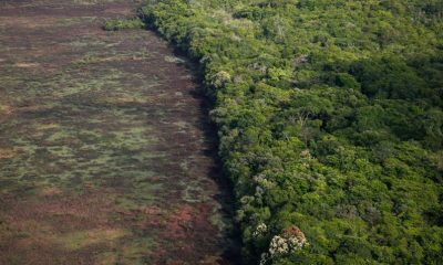 produtores-rurais-do-amazonas-