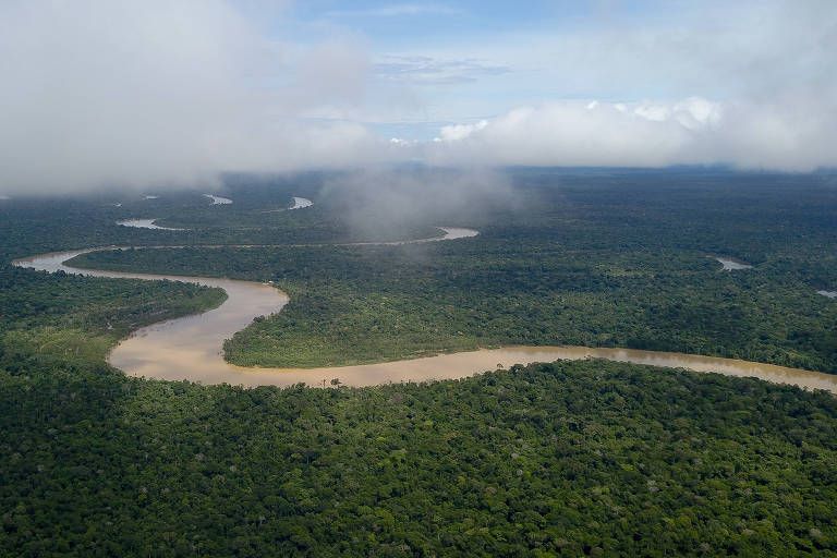 vale-do-javari-no-amazonas-acu