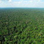 desmate-da-amazonia-reduz-chuv
