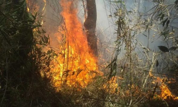 incendios-e-seca-reduzem-armaz