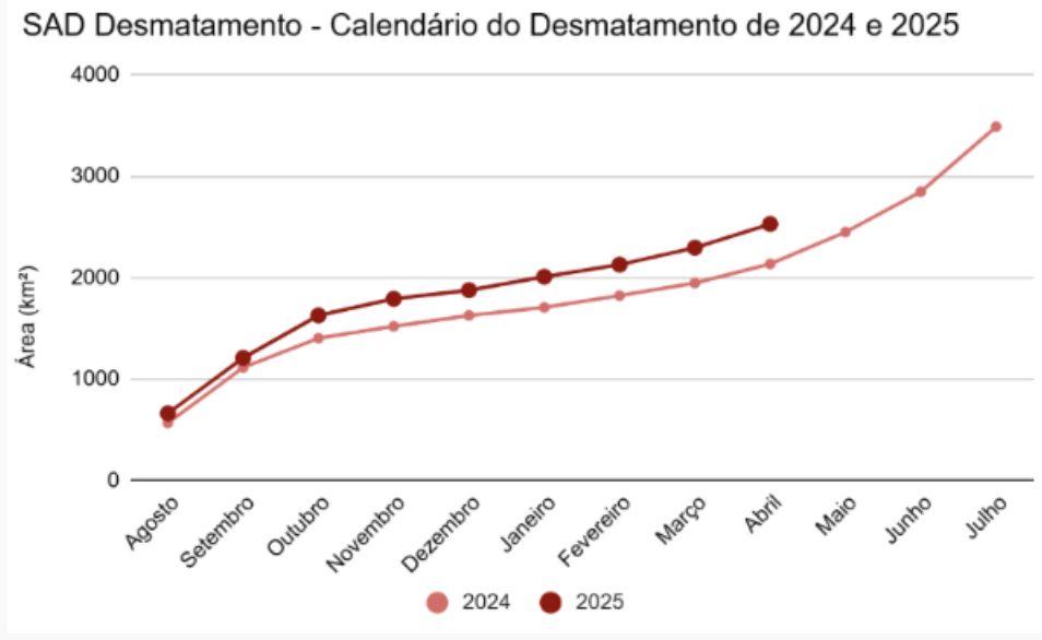 amazonas-lidera-desmatamento-d