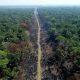 amazonas-lidera-desmatamento-d