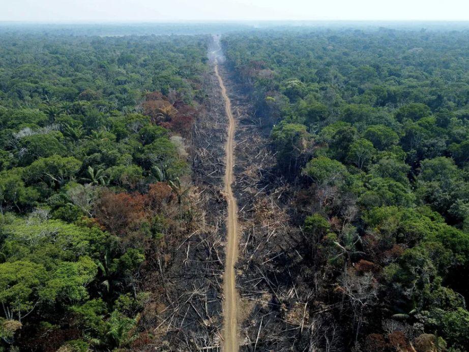 amazonas-lidera-desmatamento-d