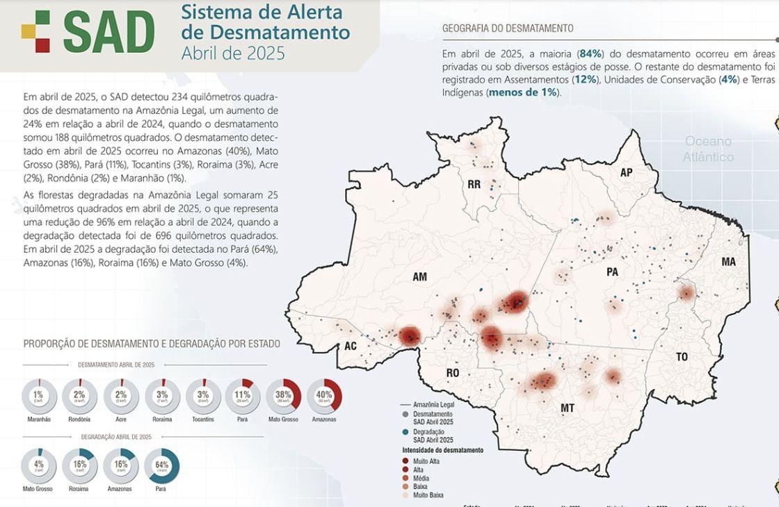 amazonas-lidera-desmatamento-d