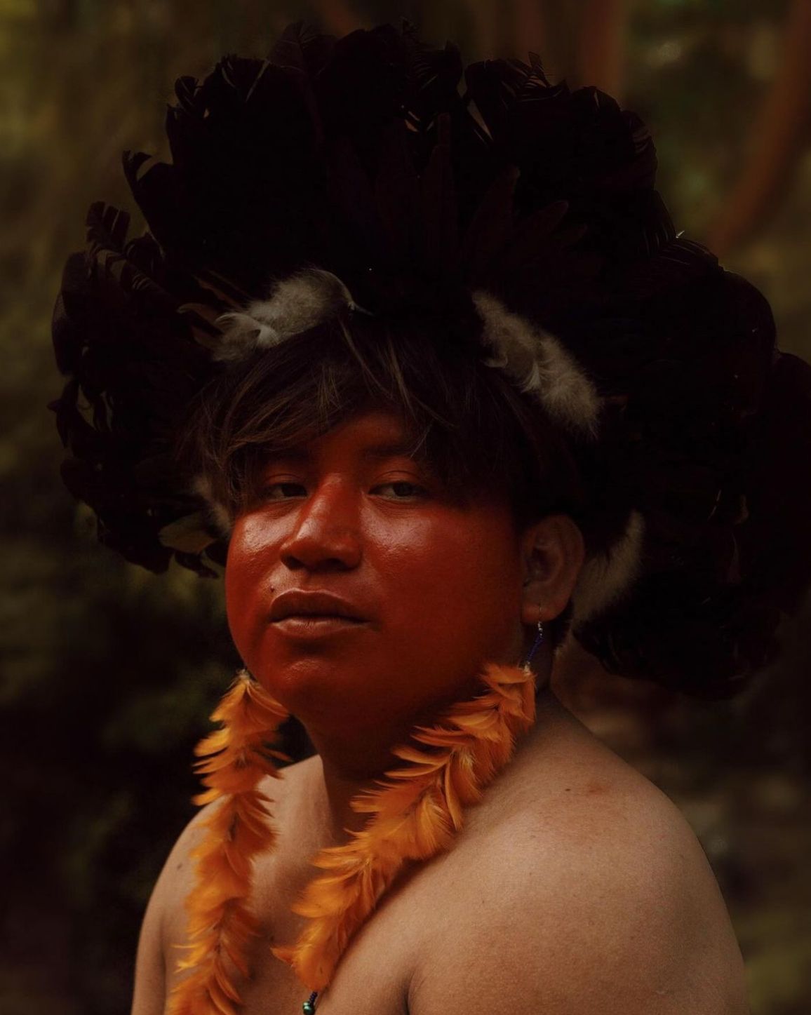 bienal-das-amazonias-promove-r