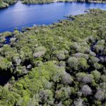 bndes-libera-r-80-milhoes-para