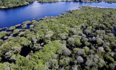 bndes-libera-r-80-milhoes-para
