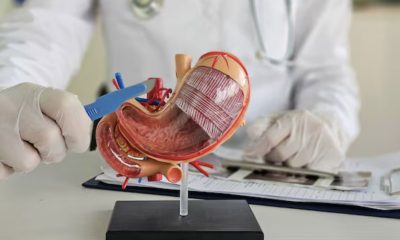 conselho-federal-de-medicina-i