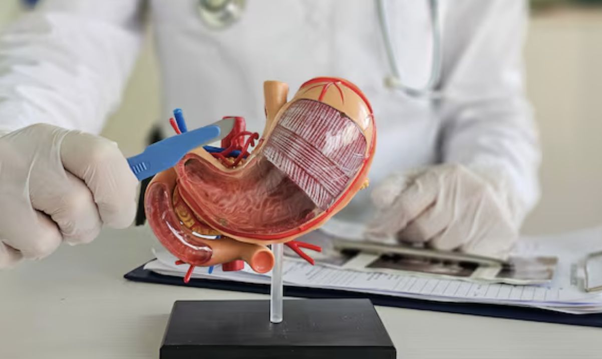 conselho-federal-de-medicina-i