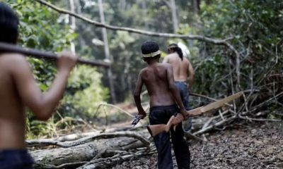 estudo-aponta-o-amazonas-como-