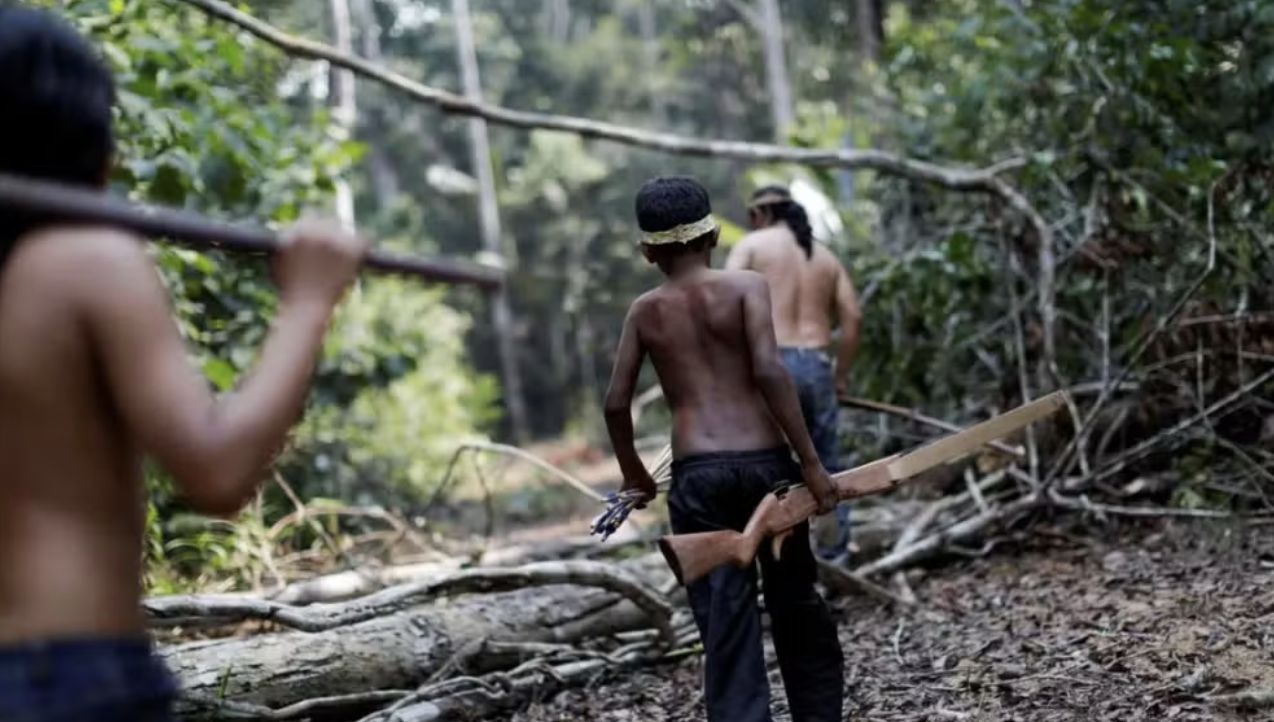 estudo-aponta-o-amazonas-como-
