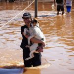 estudo-aponta-que-dois-tercos-