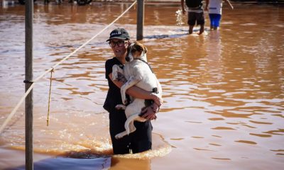estudo-aponta-que-dois-tercos-