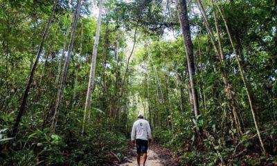 floresta-amazonia-lanca-edital
