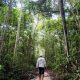 floresta-amazonia-lanca-edital