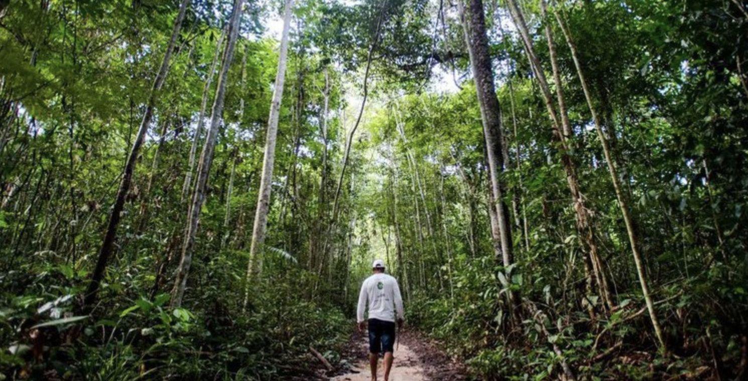 floresta-amazonia-lanca-edital