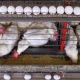 gripe-aviaria-governo-investig