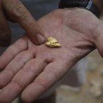 mpf-e-pf-realizam-busca-e-apre