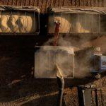 pib-cresce-14-no-1o-trimestre-