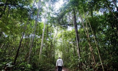 projeto-floresta-amazonia-repa