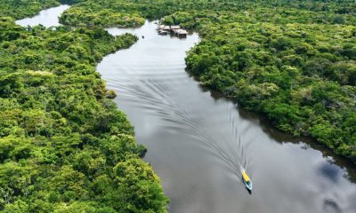 senado-aprova-lei-com-novas-re