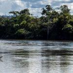 sentenca-do-trf1-obriga-uniao-
