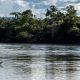 sentenca-do-trf1-obriga-uniao-