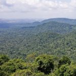 amazonia-precisa-de-83-de-espe