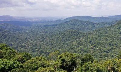 amazonia-precisa-de-83-de-espe