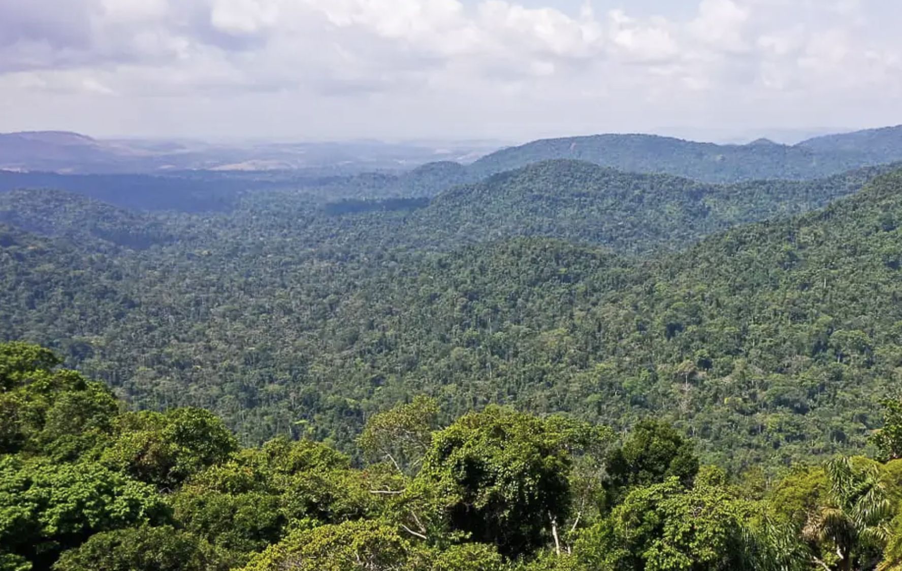 amazonia-precisa-de-83-de-espe