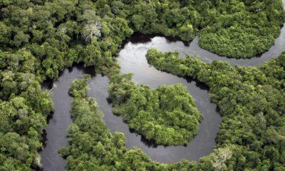 edital-de-r-25-milhoes-busca-s