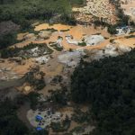 estudo-mostra-trafico-humano-c