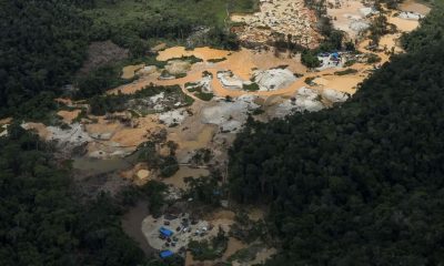estudo-mostra-trafico-humano-c