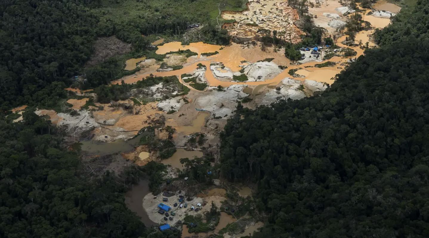estudo-mostra-trafico-humano-c