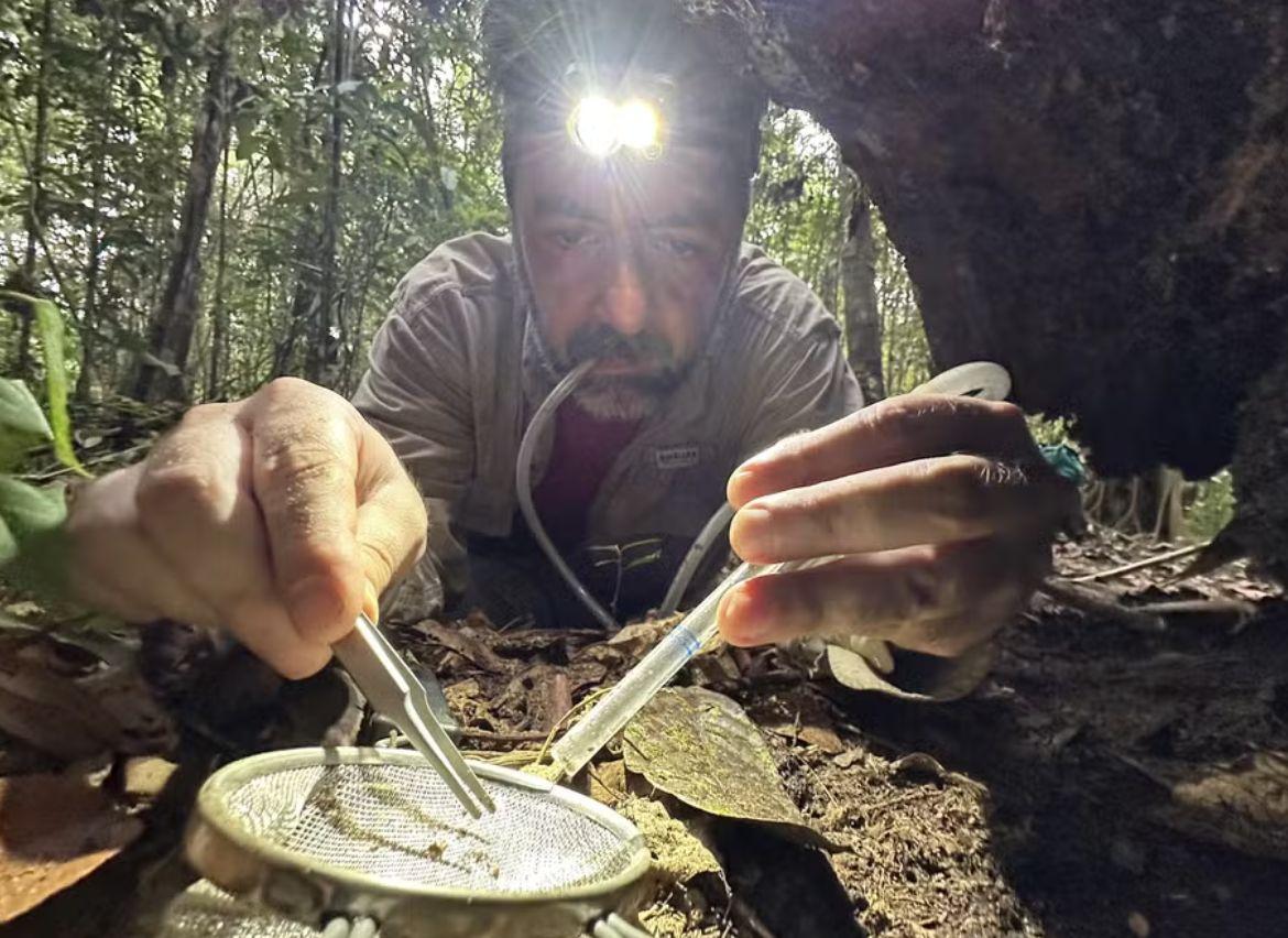 expedicao-cientifica-no-amazon