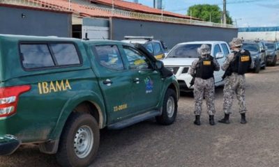 ibama-apreende-620-kg-de-cassi