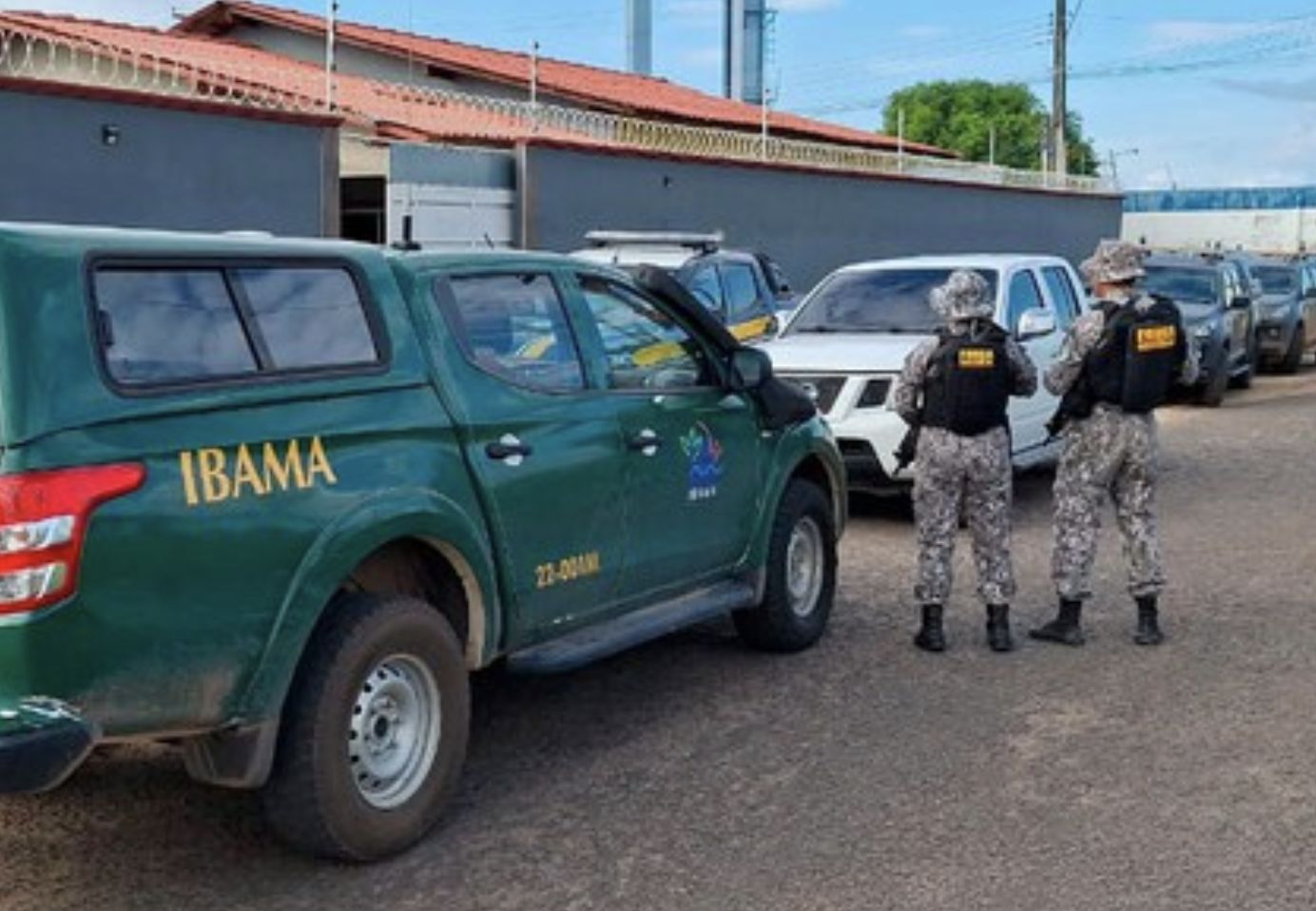 ibama-apreende-620-kg-de-cassi