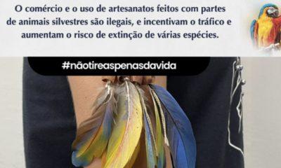 ibama-lanca-no-amazonas-a-camp