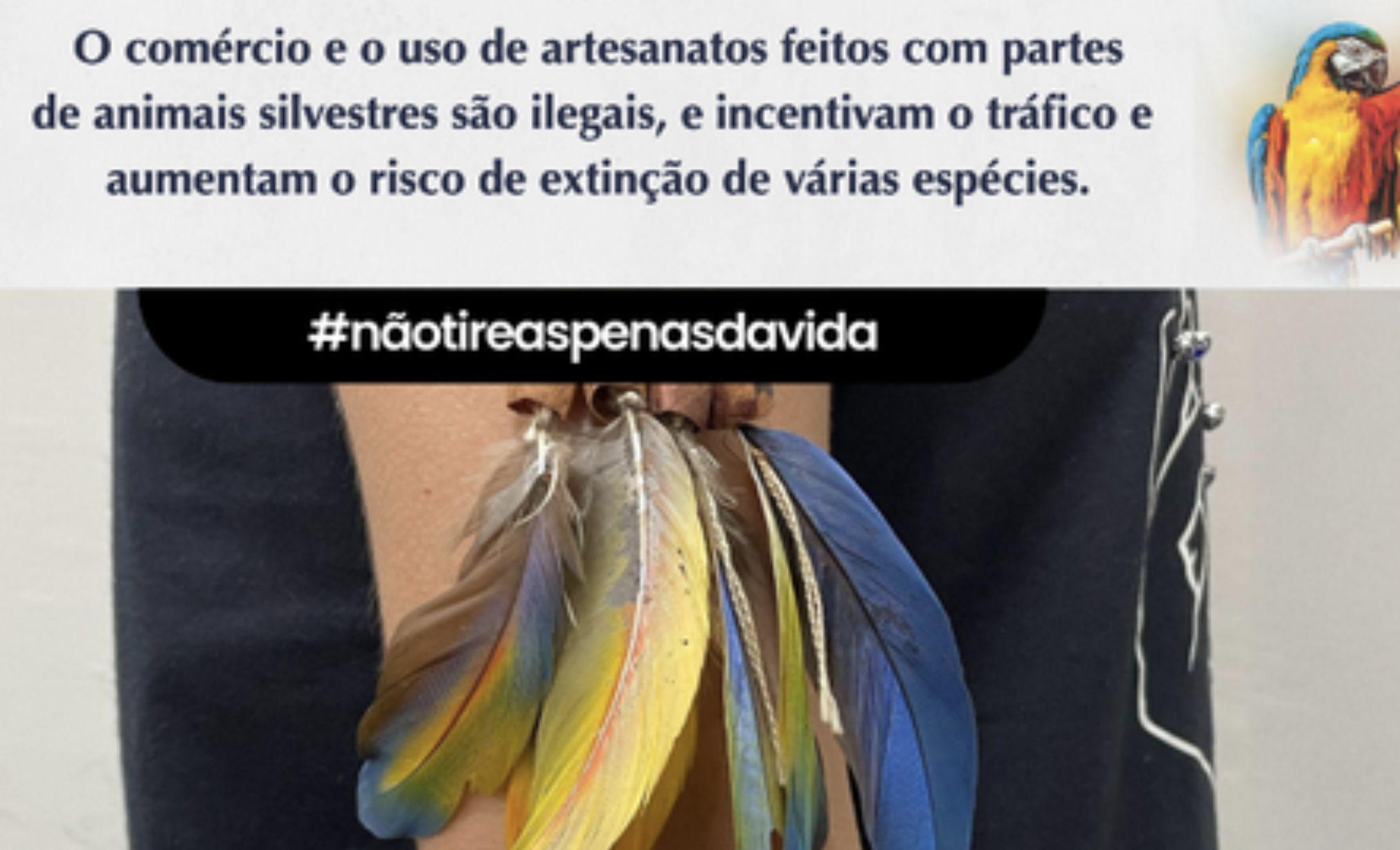 ibama-lanca-no-amazonas-a-camp