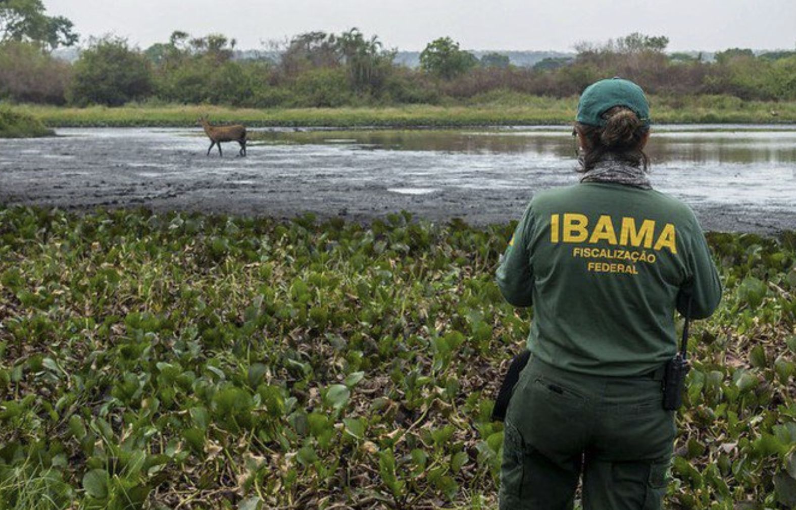 ibama-pode-agir-no-combate-a-d