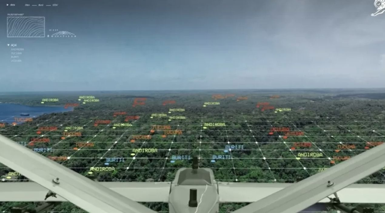 mapeamento-da-amazonia-por-mei