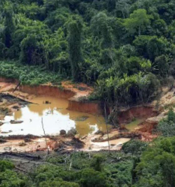 mineracao-tem-controle-fragil-