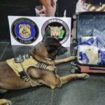 passageira-com-cerca-de-9-kg-d
