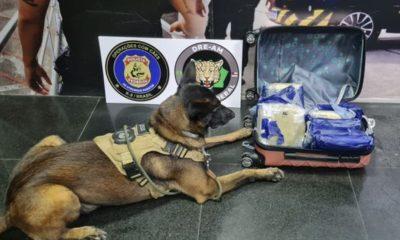 passageira-com-cerca-de-9-kg-d