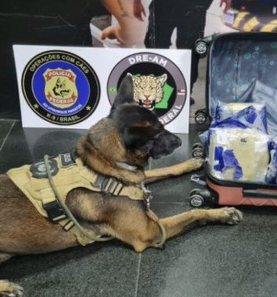 passageira-com-cerca-de-9-kg-d
